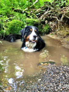 CKB Back Tula Mud Bath