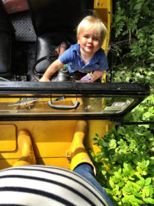 Jack Jeep Grape 2