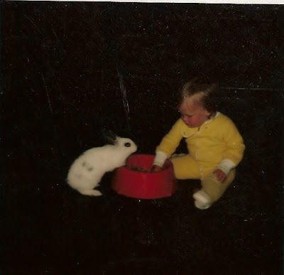 aaa_ckb_bunny_5