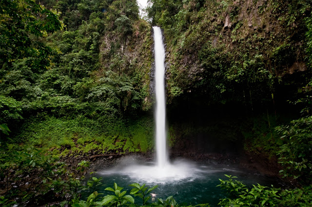 new zealand_1